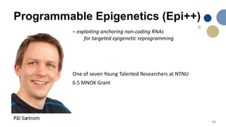11
Programmable Epigenetics (Epi++)
– exploiting anchoring non-coding RNAs
for targeted epigenetic reprogramming
One of seven Young Talented Researchers at NTNU
Pål Sætrom
6.5 MNOK Grant
 