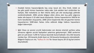  Ovadaki kümes hayvancılığında baş sırayı tavuk alır. Onu hindi, ördek ve
kaz gibi çeşitli kümes hayvanları takip eder. Çok eskiden beri sürdürülen bu
faaliyet, ilkel metotlarla ve ilkel ırklarla daha çok aile tavukçuluğu şeklinde
sürdürülmektedir. 2006 yılında bölgeyi etkisi altına alan kuş gribi salgınına
kadar aile başına 5-10 adet tavuk düşüyordu. Kümes hayvanlarının %90'lık bir
kısmı tavuklardan oluşuyordu. 2006 yılının başlarında ilde ele geçirilen kümes
hayvanlarının %98'inden fazlası imha edilerek bölge halkına hayvanların
değeri ödenmiştir.
 Iğdır Ovası ve çevresi arıcılık bakımından son derece elverişli şartlara sahip
olmasına rağmen arıcılık faaliyetleri yeterince gelişmemiştir. 2000 verilerine
göre en çok kovan 7,249 ile Tuzluca ilçesinde bulunmaktadır. Onu 642 kovanla
merkez ilçe, 193 kovanla Aralık ilçesi ve 154 kovanla Karakoyunlu izlemektedir.
Bölgenin başlıca arı ırkı; "Kafkas Arı Irkı"dır. Kovan başına 20–25 kg bal üretimi
düşmektedir.
 