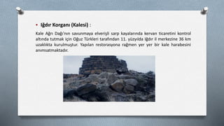  Iğdır Korganı (Kalesi) :
Kale Ağrı Dağı'nın savunmaya elverişli sarp kayalarında kervan ticaretini kontrol
altında tutmak için Oğuz Türkleri tarafından 11. yüzyılda Iğdır il merkezine 36 km
uzaklıkta kurulmuştur. Yapılan restorasyona rağmen yer yer bir kale harabesini
anımsatmaktadır.
 