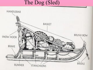 The Dog (Sled) 