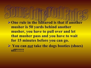 One rule in the Iditarod is that if another musher is 50 yards behind another musher, you have to pull over and let that musher pass and you have to wait for 15 minutes before you can go.  You can  not  take the dogs booties (shoes) off!!!!!!  Some Iditarod Rules 