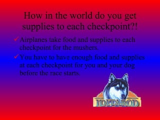 How in the world do you get supplies to each checkpoint?! Airplanes take food and supplies to each checkpoint for the mushers. You have to have enough food and supplies at each checkpoint for you and your dog before the race starts.  
