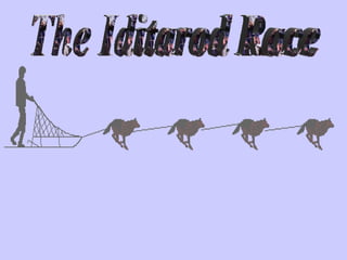 The Iditarod Race 