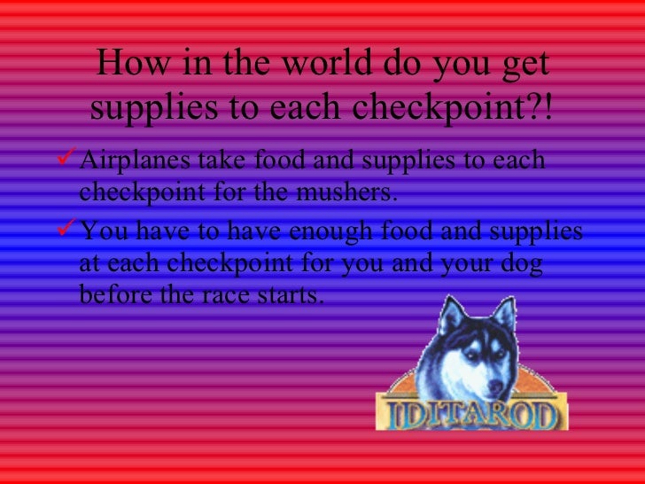 how do mushers their dogs for the iditarod iditarod how do mushers their dogs for the iditarod iditarod