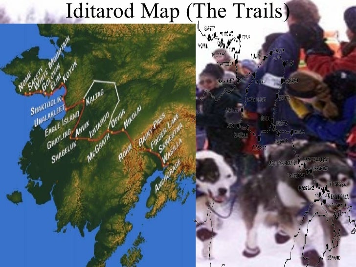 how do mushers their dogs for the iditarod iditarod how do mushers their dogs for the iditarod iditarod