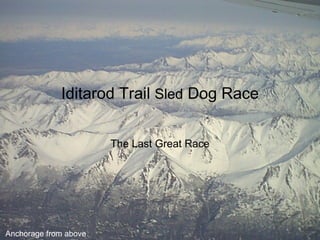 Iditarod Trail  Sled  Dog Race The Last Great Race Anchorage from above 