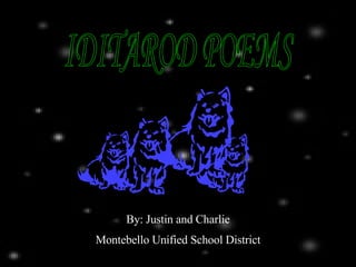 IDITAROD POEMS By: Justin and Charlie Montebello Unified School District 