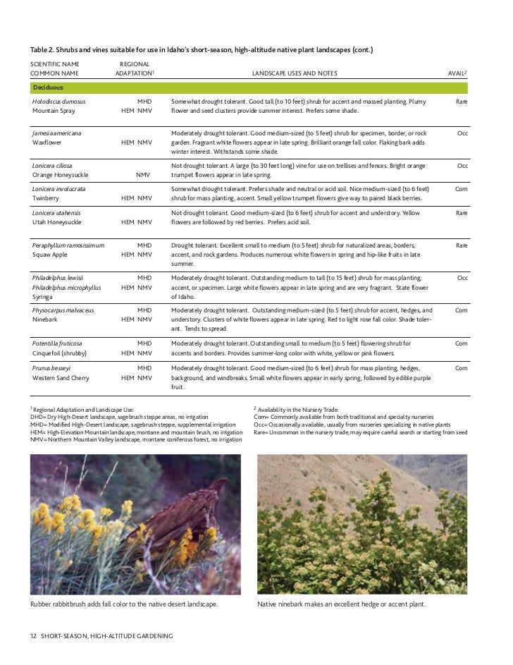 ID Landscaping with native plants