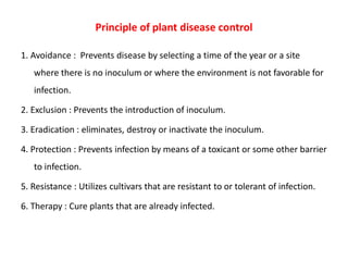 Integrated disease management of vegetables | PPTX