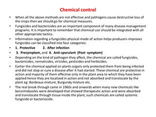Chemical control
• When all the above methods are not effective and pathogens cause destructive loss of
the crops then we should go for chemical measures.
• Fungicides and bactericides are an important component of many disease management
programs. It is important to remember that chemical use should be integrated with all
other appropriate tactics.
• Information regarding a fungicides physical mode of action helps producers improves
fungicides can be classified into four categories:
• 1. Protective 2. After infection
• 3. Presymptom, and 4. Anti-sporulant (Post- symptom)
• Depending on the kind of pathogen they affect, the chemical are called fungicides,
bactericides, nematicides, viricides, pesticides and herbicides.
• Earlier the chemical applied on plants organs only protected them from being infected
and did not stop or cure a disease after it had started. These chemical are protective in
action and majority of them effective only in the plant area to which they have been
applied hence they are localized in action and not absorbed and translocate by the
plant eg: Bordeaux mixture, Burgundy mixture etc.
• The real break through came in 1960s and onwords when many new chemicals like
benzimidazoles were developed that showed therapeutic action and were absorbed
and translocate through tissue inside the plant, such chemicals are called systemic
fungicide or bacteriocide.
 