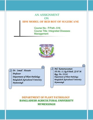 AN ASSIGNMENT
                              ON
           IDM MODEL OF RED ROT OF SUGERCANE

                         Course No.: P.Path.-516
                         Course Title: Integrated Diseases
                         Management




                                           Md. Kamaruzzaman
Dr. Ismail Hossain                         ID No. 11 Ag.P.Path. JJ 07 M
Professor                                  Reg. No. 33141
Department of Plant Pathology              Department of Plant Pathology
Bangladesh Agricultural University         Bangladesh Agricultural University
Mymensingh                                 Mymensingh




         DEPARTMENT OF PLANT PATHOLOGY
        BANGLADESH AGRICULTURAL UNIVERSITY
                   MYMENSINGH
 