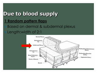 Random Pattern Flasps Skin graft and skin flap | PDF