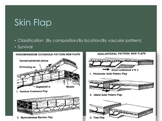Skin graft and skin flap | PDF