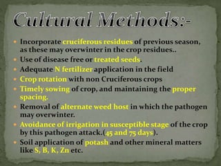  Incorporate cruciferous residues of previous season,
as these may overwinter in the crop residues..
 Use of disease free or treated seeds.
 Adequate N fertilizer application in the field
 Crop rotation with non Cruciferous crops
 Timely sowing of crop, and maintaining the proper
spacing.
 Removal of alternate weed host in which the pathogen
may overwinter.
 Avoidance of irrigation in susceptible stage of the crop
by this pathogen attack.(45 and 75 days).
 Soil application of potash and other mineral matters
like S, B, K, Zn etc.
 