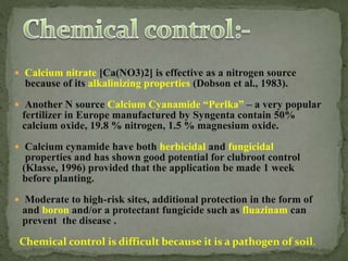  Calcium nitrate [Ca(NO3)2] is effective as a nitrogen source
because of its alkalinizing properties (Dobson et al., 1983).
 Another N source Calcium Cyanamide “Perlka” – a very popular
fertilizer in Europe manufactured by Syngenta contain 50%
calcium oxide, 19.8 % nitrogen, 1.5 % magnesium oxide.
 Calcium cynamide have both herbicidal and fungicidal
properties and has shown good potential for clubroot control
(Klasse, 1996) provided that the application be made 1 week
before planting.
 Moderate to high-risk sites, additional protection in the form of
and boron and/or a protectant fungicide such as fluazinam can
prevent the disease .
Chemical control is difficult because it is a pathogen of soil.
 