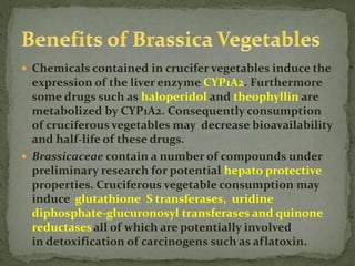  Chemicals contained in crucifer vegetables induce the
expression of the liver enzyme CYP1A2. Furthermore
some drugs such as haloperidol and theophyllin are
metabolized by CYP1A2. Consequently consumption
of cruciferous vegetables may decrease bioavailability
and half-life of these drugs.
 Brassicaceae contain a number of compounds under
preliminary research for potential hepato protective
properties. Cruciferous vegetable consumption may
induce glutathione S transferases, uridine
diphosphate-glucuronosyl transferases and quinone
reductasesall of which are potentially involved
in detoxification of carcinogens such as aflatoxin.
 