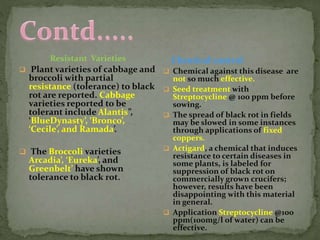 Resistant Varieties
 Plant varieties of cabbage and
broccoli with partial
resistance (tolerance) to black
rot are reported. Cabbage
varieties reported to be
tolerant include Alantis”,
‘BlueDynasty’, ‘Bronco’,
‘Cecile’, and Ramada’.
 The Broccoli varieties
Arcadia’, ‘Eureka’, and
Greenbelt’ have shown
tolerance to black rot.
Chemical control
 Chemical against this disease are
not so much effective.
 Seed treatment with
Streptocycline @ 100 ppm before
sowing.
 The spread of black rot in fields
may be slowed in some instances
through applications of fixed
coppers.
 Actigard, a chemical that induces
resistance to certain diseases in
some plants, is labeled for
suppression of black rot on
commercially grown crucifers;
however, results have been
disappointing with this material
in general.
 Application Streptocycline @100
ppm(100mg/l of water) can be
effective.
 