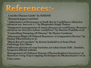  “Crucifer Disease Guide” by SEMINIS
 Research papers entitled-
 “ Inheritance of Resistance to Stalk Rot in Cauliflower (Brassica
oleracea var. botrytis L.)” by Bhupinder Singh Thakur
 “Integrated management of major diseases of cauliflower (Brassica
oleracea var botrytis subvar cauliflora)” by Sharma Pratibha et al.
 “Controlling Damping off Disease” By Master Gardener
 “Alternaria Blight Of Oilseed Brassicas: A Comparative Review” by
Kumar Dharmendra et al.
 “Black Rot of Crucifers” by Kenny Seebold et al from Plant
Pathology Fact Sheet
 Different pictures of crop Varieties are taken from IARI , Seminis,
Syngenta official website.
 Management of Clubroot Disease (Plasmodiophora brassicae) of
Brassicas Using Trap Cropping Techniques by Bhattacharjee I et al.
 Class notes
 