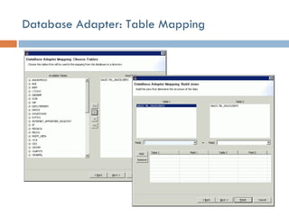 Database Adapter: Table Mapping 
