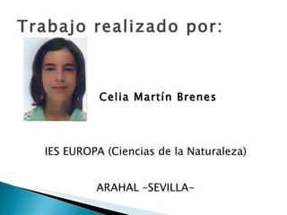 Trabajo realizado por: Celia Martín Brenes IES EUROPA (Ciencias de la Naturaleza) ARAHAL –SEVILLA- 