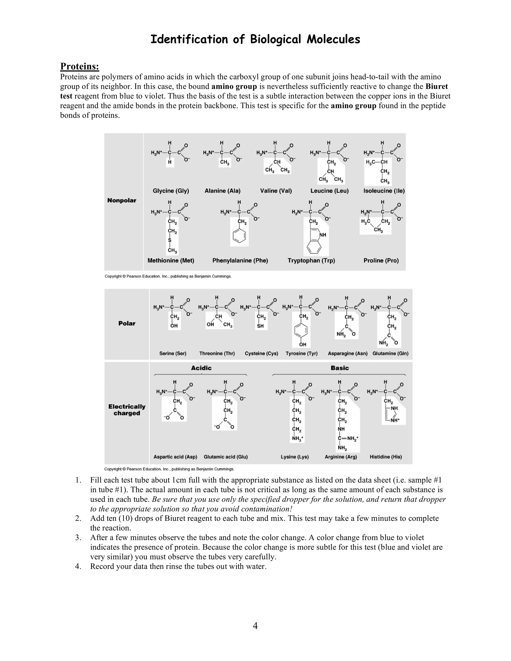 Id of biological molecules lab | PDF