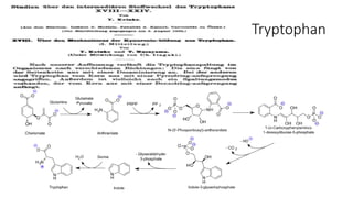 Tryptophan
 