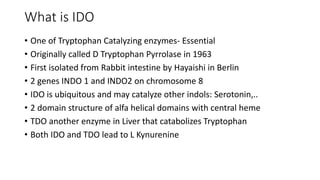 What is IDO
• One of Tryptophan Catalyzing enzymes- Essential
• Originally called D Tryptophan Pyrrolase in 1963
• First isolated from Rabbit intestine by Hayaishi in Berlin
• 2 genes INDO 1 and INDO2 on chromosome 8
• IDO is ubiquitous and may catalyze other indols: Serotonin,..
• 2 domain structure of alfa helical domains with central heme
• TDO another enzyme in Liver that catabolizes Tryptophan
• Both IDO and TDO lead to L Kynurenine
 