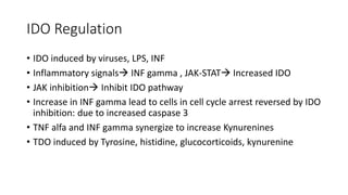 IDO Regulation
• IDO induced by viruses, LPS, INF
• Inflammatory signals INF gamma , JAK-STAT Increased IDO
• JAK inhibition Inhibit IDO pathway
• Increase in INF gamma lead to cells in cell cycle arrest reversed by IDO
inhibition: due to increased caspase 3
• TNF alfa and INF gamma synergize to increase Kynurenines
• TDO induced by Tyrosine, histidine, glucocorticoids, kynurenine
 