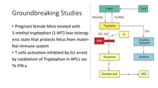 Groundbreaking Studies
• Pregnant female Mice treated with
1-methyl tryptophan (1-MT) lose tolerog-
enic state that protects fetus from mater-
Nal immune system
• T cells activation inhibited by G1 arrest
by catabolism of Tryptophan in APCs sec
To IFN-γ
 