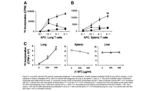 Figure 4. Lung iAPC-derived IDO actively suppresses allogeneic T cell proliferation. Freshly isolated irradiated C57BL/6 lung iAPCs (circles), or liver
(squares) or splenic (triangles) APCs, were co-cultured with allogeneic (A) lung or (B) splenic T cells (3 × 105) at the indicated ratios. Proliferative
responses were determined as mean ± counts per minute (CPM) of thymidine incorporated into the T cells in triplicate cultures (#P < 0.01 compared
with DC:T cultures from liver and spleen at same ratios; *P < 0.02 and **P < 0.001 comparing DC:T cultures from liver and spleen at the same ratios).
(C) APCs and allogeneic lung T cells were cultured at 0.5: 1 (APC:T) in the presence of increasing concentrations of the IDO inhibitor, 1-MT. As a
control, 1-MT did not affect spontaneous proliferation in DCs or T cells cultured alone (*P < 0.01comparing lung DC: lung T co-cultures with 250 and
500 mg/ml 1-MT to untreated cultures).
 