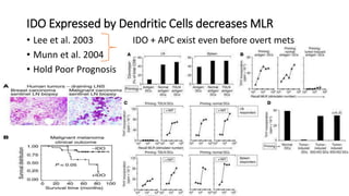 IDO Expressed by Dendritic Cells decreases MLR
• Lee et al. 2003 IDO + APC exist even before overt mets
• Munn et al. 2004
• Hold Poor Prognosis
 