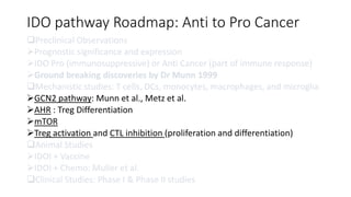 IDO pathway Roadmap: Anti to Pro Cancer
Preclinical Observations
Prognostic significance and expression
IDO Pro (immunosuppressive) or Anti Cancer (part of immune response)
Ground breaking discoveries by Dr Munn 1999
Mechanistic studies: T cells, DCs, monocytes, macrophages, and microglia
GCN2 pathway: Munn et al., Metz et al.
AHR : Treg Differentiation
mTOR
Treg activation and CTL inhibition (proliferation and differentiation)
Animal Studies
IDOI + Vaccine
IDOI + Chemo: Muller et al.
Clinical Studies: Phase I & Phase II studies
 