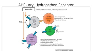 AHR- Aryl Hydrocarbon Receptor
 
