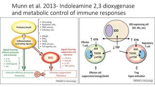 Munn et al. 2013- Indoleamine 2,3 dioxygenase
and metabolic control of immune responses
 