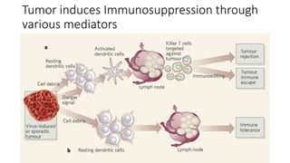 Tumor induces Immunosuppression through
various mediators
 