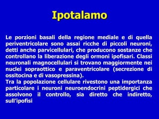 Ipotalamo Le porzioni basali della regione mediale e di quella periventricolare sono assai ricche di piccoli neuroni, detti anche parvicellulari, che producono sostanze che controllano la liberazione degli ormoni ipofisari. Classi neuronali magnocellulari si trovano maggiormente nei nuclei sopraottico e paraventricolare (secrezione di ossitocina e di vasopressina). Tra la popolazione cellulare rivestono una importanza particolare i neuroni neuroendocrini peptidergici che assolvono il controllo, sia diretto che indiretto, sull’ipofisi  
