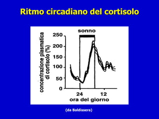 Ritmo circadiano del cortisolo (da Baldissera) 