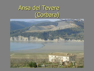 Ansa del Tevere  (Corbara) 