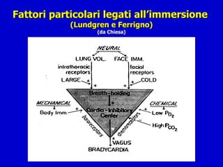 Fattori particolari legati all’immersione  (Lundgren e Ferrigno) (da Chiesa) 