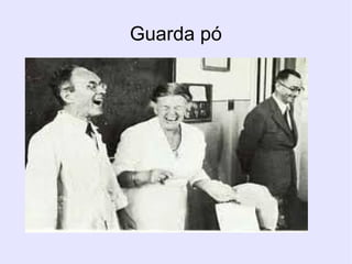 Guarda pó
 