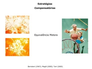 Estratégias
Compensatórias
Equivalência Motora
Bernstein (1967); Magill (2000); Tani (2005)
 