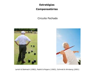Estratégias
Compensatórias
Circuito Fechado
Larish & Stelmach (1982); Rabitt & Rogers (1965); Schmidt & Wrisberg (2001)
 