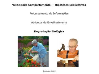 Velocidade Comportamental – Hipóteses Explicativas
Processamento de Informações
Atributos do Envelhecimento
Degradação Biológica
Spirduso (2005)
 