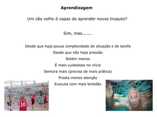 Um cão velho é capaz de aprender novos truques?
Aprendizagem
Sim, mas.......
Desde que haja pouca complexidade de situação e de tarefa
Desde que não haja pressão
Retém menos
É mais cuidadoso no início
Demora mais (precisa de mais prática)
Presta menos atenção
Executa com mais lentidão
 