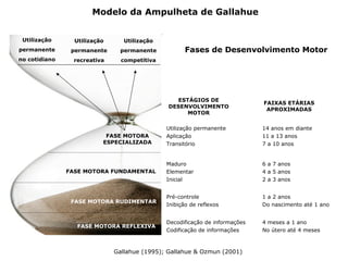 Modelo da Ampulheta de Gallahue
Gallahue (1995); Gallahue & Ozmun (2001)
Decodificação de informações
Codificação de informações
Pré-controle
Inibição de reflexos
Maduro
Elementar
Inicial
Utilização permanente
Aplicação
Transitório
4 meses a 1 ano
No útero até 4 meses
1 a 2 anos
Do nascimento até 1 ano
6 a 7 anos
4 a 5 anos
2 a 3 anos
14 anos em diante
11 a 13 anos
7 a 10 anos
ESTÁGIOS DE
DESENVOLVIMENTO
MOTOR
FAIXAS ETÁRIAS
APROXIMADAS
FASE MOTORA REFLEXIVA
FASE MOTORA RUDIMENTAR
FASE MOTORA FUNDAMENTAL
FASE MOTORA
ESPECIALIZADA
Utilização
permanente
no cotidiano
Utilização
permanente
recreativa
Utilização
permanente
competitiva
Fases de Desenvolvimento Motor
 