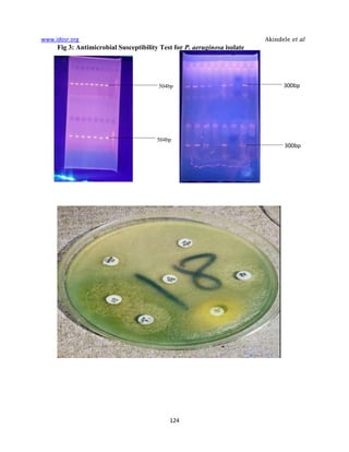 Antibiotic resistance and Virulence Genes of Pseudomonas aeruginosa ...