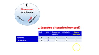 B
Neumococo
H.influenza
IgG IgA Respuesta
Vacunas
Celulas B Riesgo
Infección
N N N N -
N  N N -
 N/ N N /
   N/ 
   < 2% 
NORMAL
DEFICIT IGA
HIPOG. 2º O TRANSITORIA
IDVC
Agammaglobulinemia
¿ Espectro alteración humoral?
 