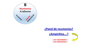 ¿Panel de neumonías?
¿Ampicilina….?
¡¡ No VACUNADOS !!
¡¡ No SEROLOGÍAS !!
B
Neumococo
H.influenza
 