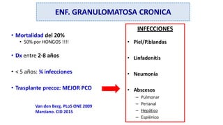 • Mortalidad del 20%
• 50% por HONGOS !!!!
• Dx entre 2-8 años
• < 5 años: ¾ infecciones
• Trasplante precoz: MEJOR PCO
Van den Berg. PLoS ONE 2009
Marciano. CID 2015
INFECCIONES
• Piel/P.blandas
• Linfadenitis
• Neumonía
• Abscesos
– Pulmonar
– Perianal
– Hepático
– Esplénico
ENF. GRANULOMATOSA CRONICA
 
