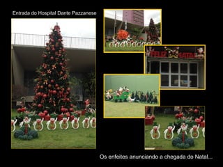 Entrada do Hospital Dante Pazzanese




                                      Os enfeites anunciando a chegada do Natal...
 